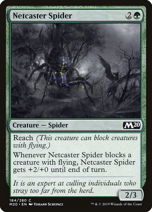 Netcaster Spider 184