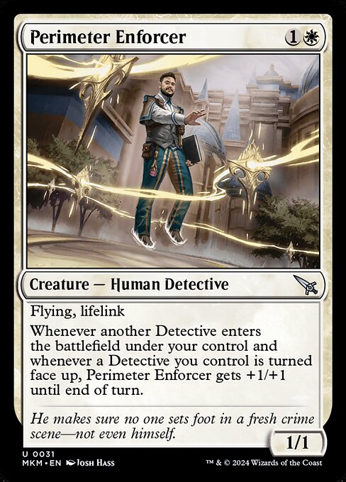 Perimeter Enforcer 31 Foil