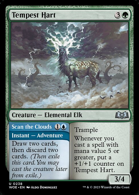 Tempest Hart // Scan the Clouds 238