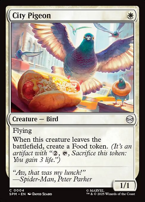 City Pigeon 4