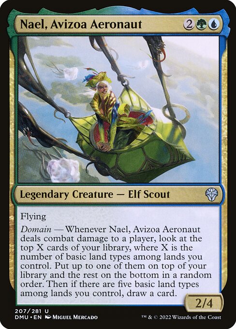 Nael, Avizoa Aeronaut 207 Foil