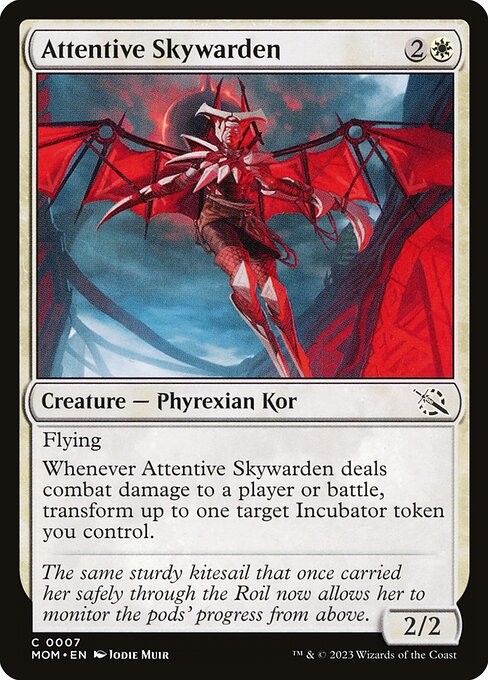 Attentive Skywarden 7