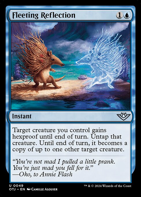 Fleeting Reflection 49 Foil