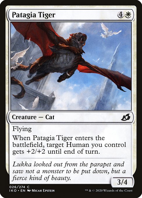 Patagia Tiger 26