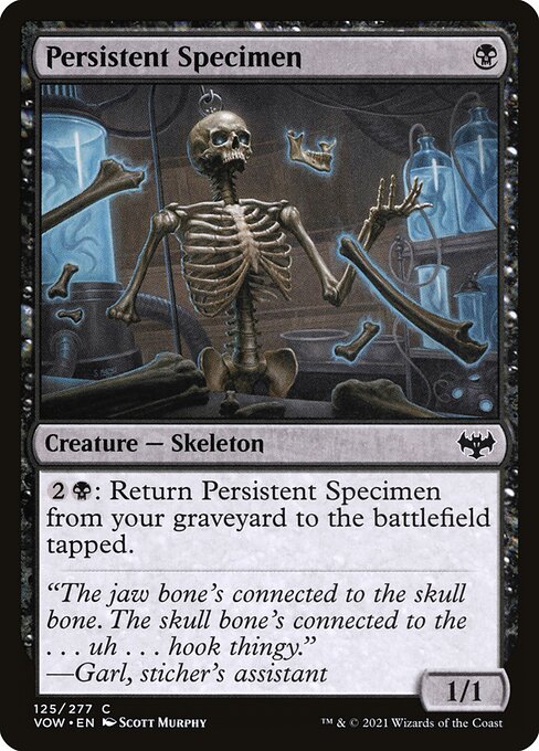Persistent Specimen 125 Foil