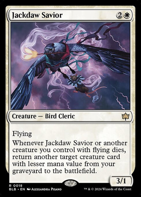 Jackdaw Savior 18