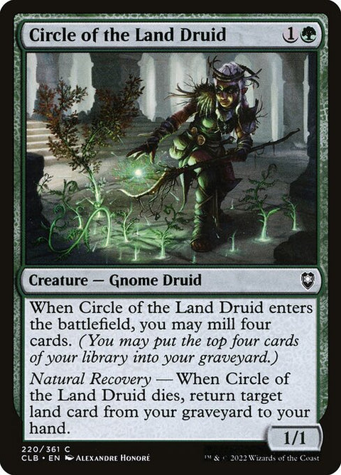 Circle of the Land Druid 220