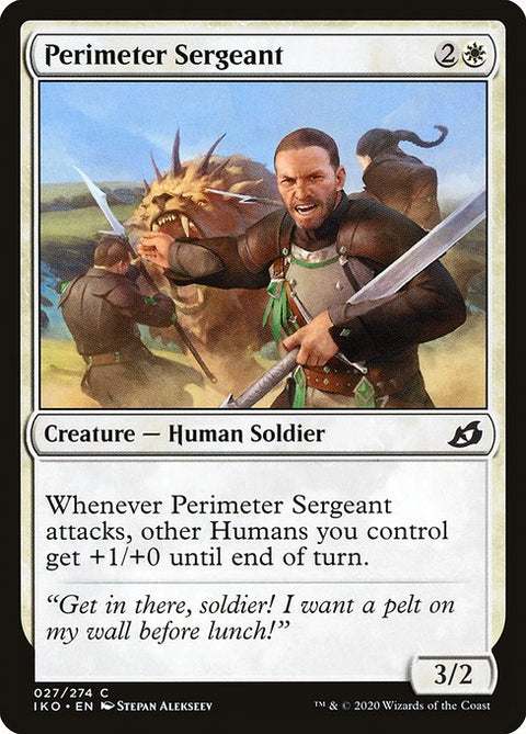 Perimeter Sergeant 27