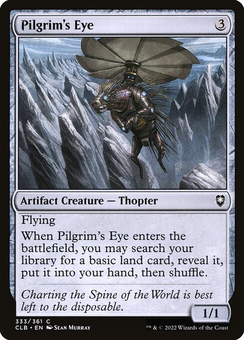 Pilgrim's Eye 333