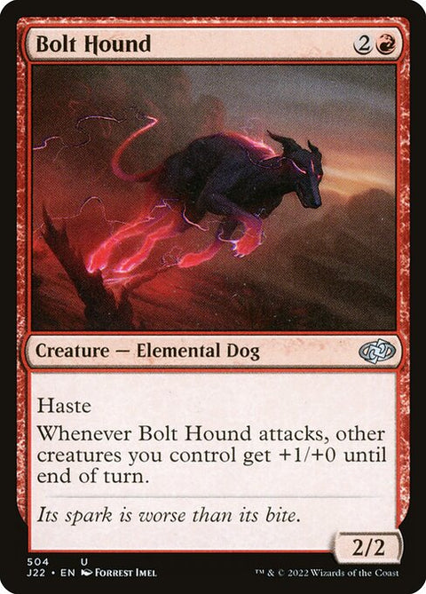 Bolt Hound 504