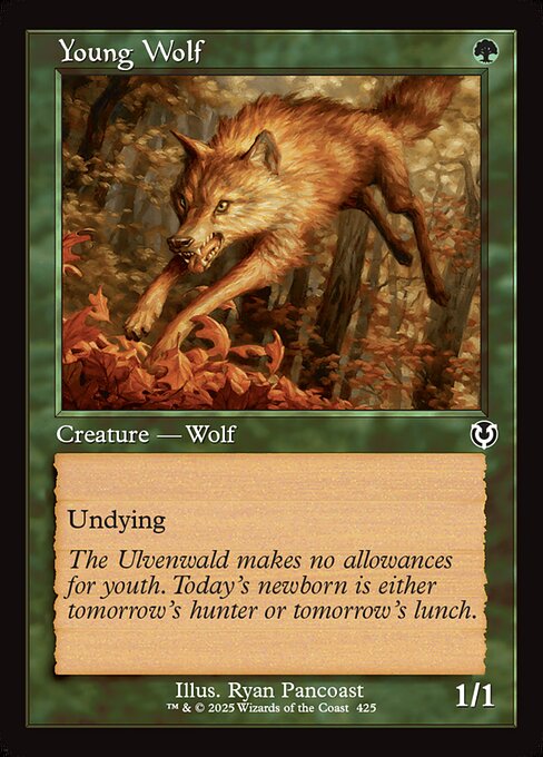 Young Wolf 425