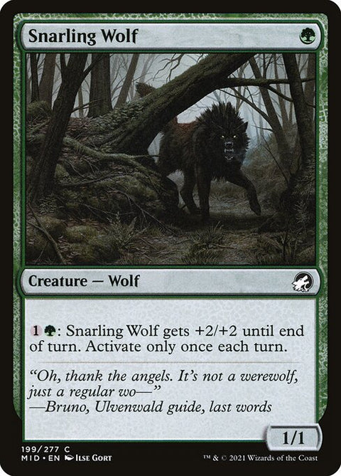 Snarling Wolf 199