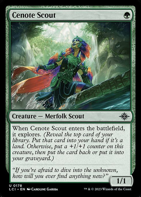 Cenote Scout 178