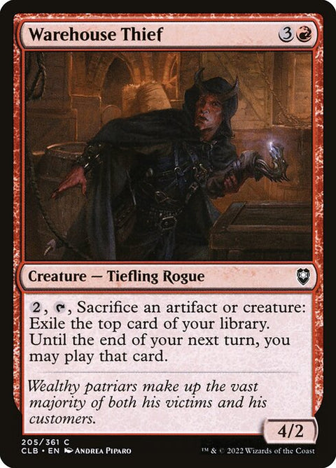 Warehouse Thief 205