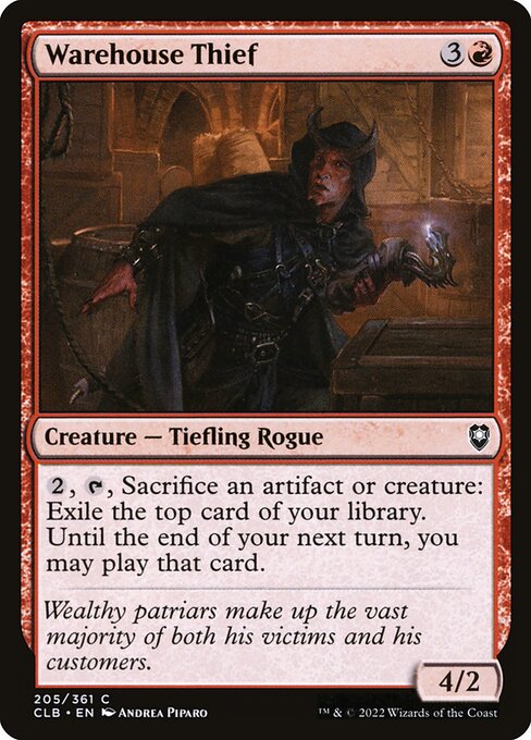 Warehouse Thief 205