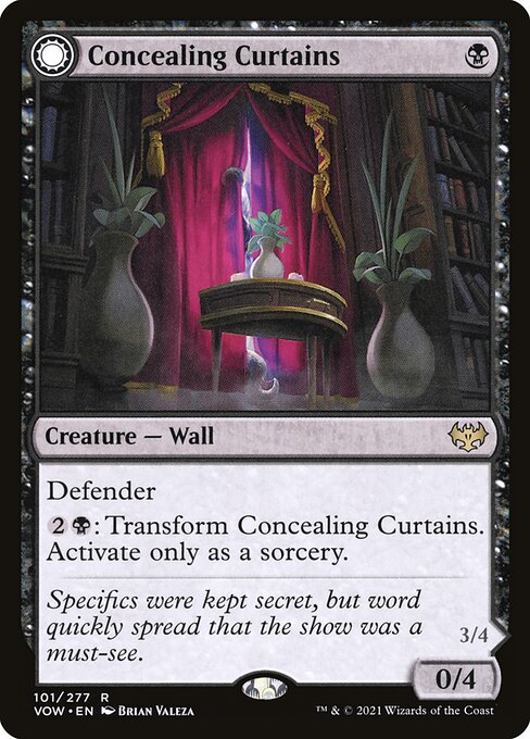 Concealing Curtains // Revealing Eye 101 Foil