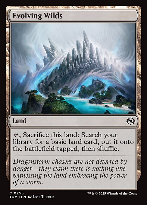 Evolving Wilds 255 Foil