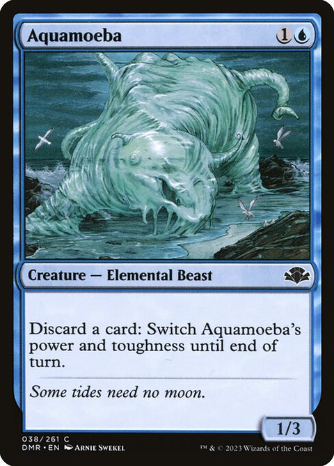 Aquamoeba 38