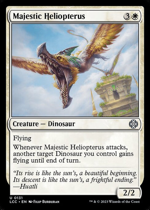 Majestic Heliopterus 131