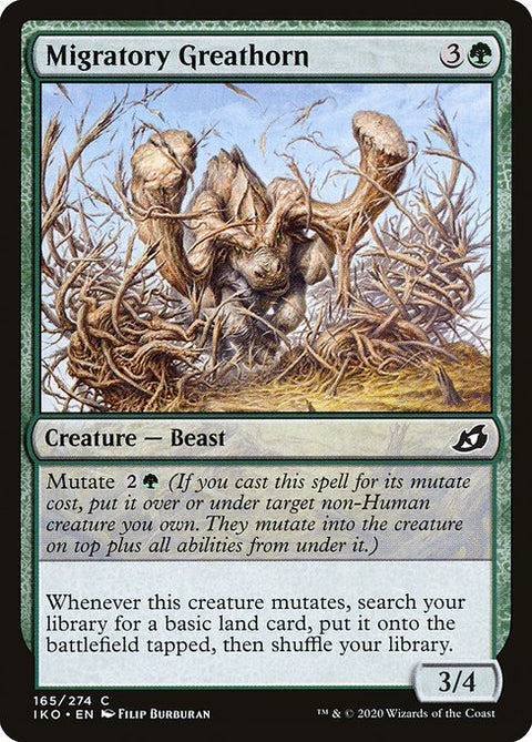 Migratory Greathorn 165