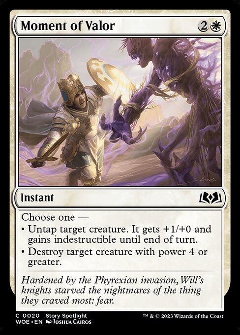 Moment of Valor 20 Foil