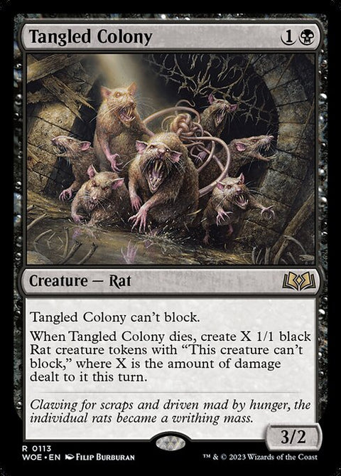 Tangled Colony 113