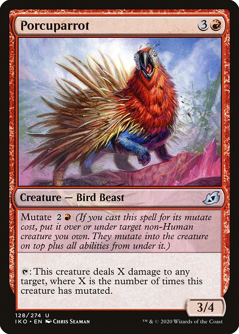 Porcuparrot 128