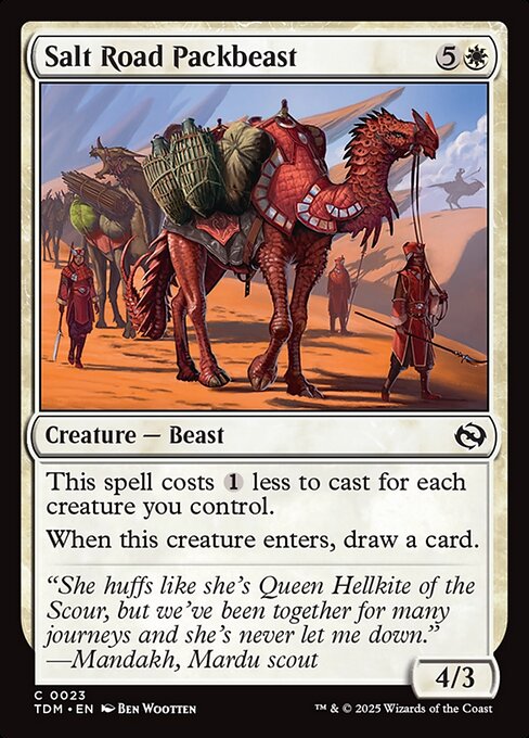 Salt Road Packbeast 23 Foil