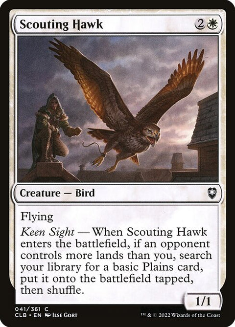 Scouting Hawk 41