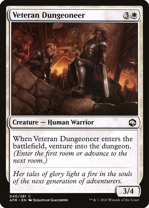 Veteran Dungeoneer 40 Foil
