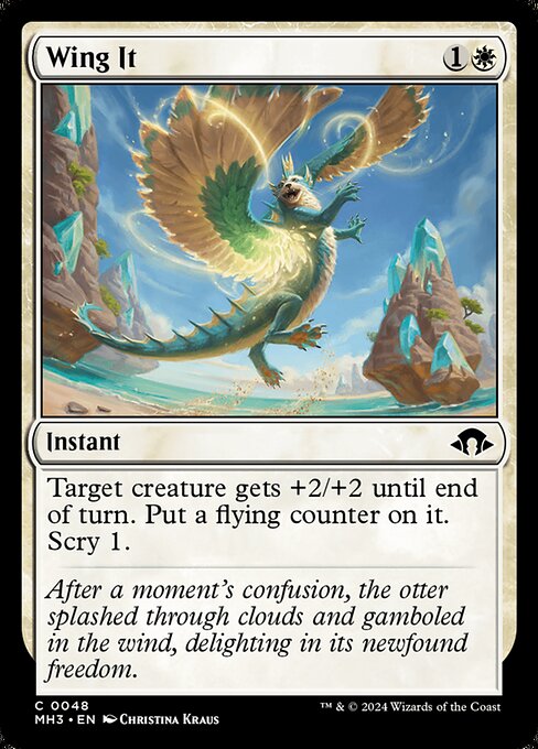 Wing It 48 Foil