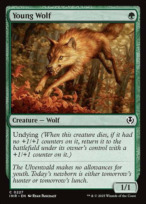 Young Wolf 227 Foil