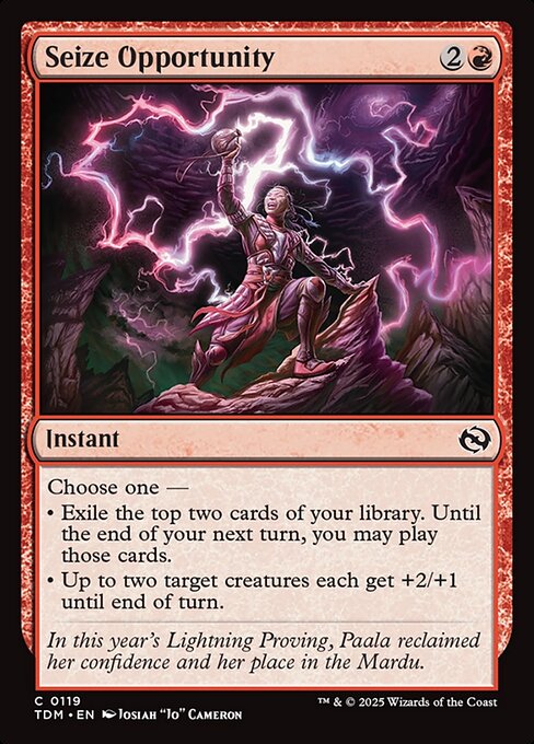 Seize Opportunity 119 Foil