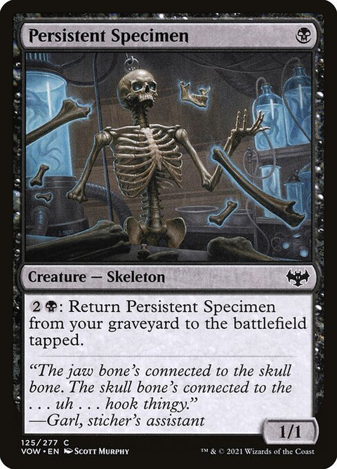 Persistent Specimen 125 Foil