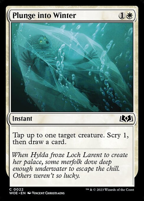 Plunge into Winter 22